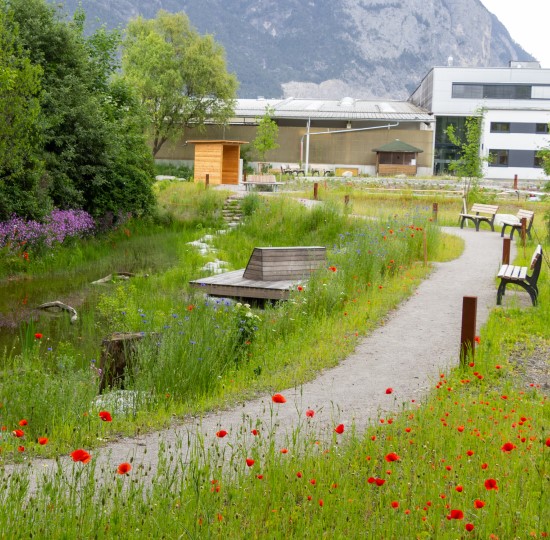 Grüner Park mit Bänken.